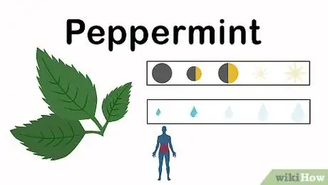 Image titled Grow an Herbal Tea Garden Step 5