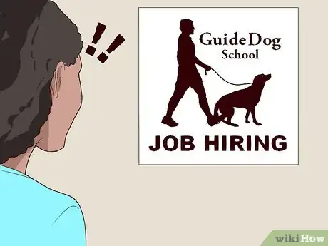 Image titled Become a Guide Dog Trainer Step 6