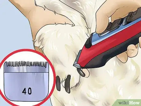 Image titled Do a Banded Dutch on a Poodle Step 10
