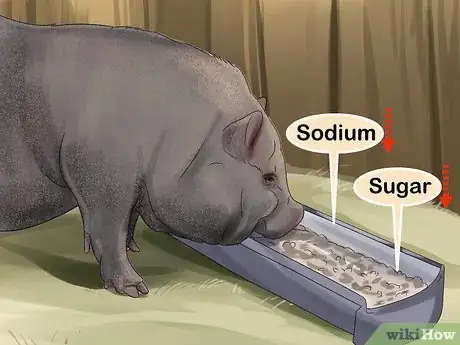 Image titled Have a Potbellied Pig for a Pet Step 15