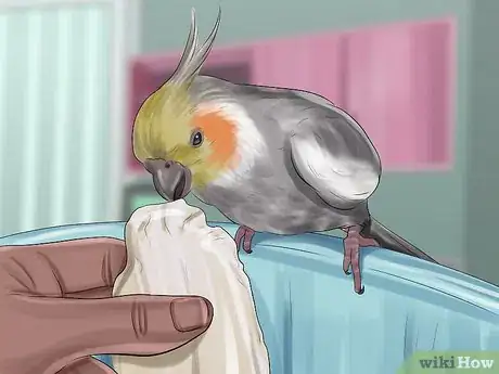 Image titled Deal with Cockatiel Night Frights Step 15