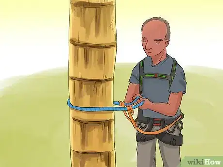 Image titled Harvest a Coconut Step 8