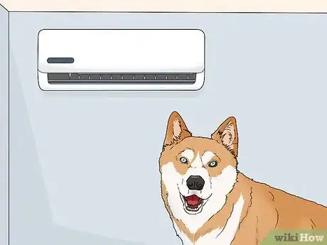 Image titled Choose a Dog Suitable for Your Climate Step 3