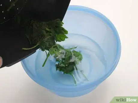 Image titled Eat Stinging Nettles Step 3