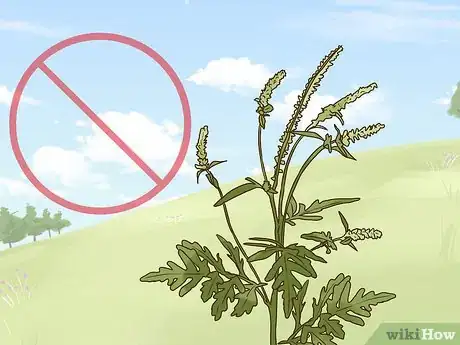 Image titled Prevent Autumn Allergies Step 4