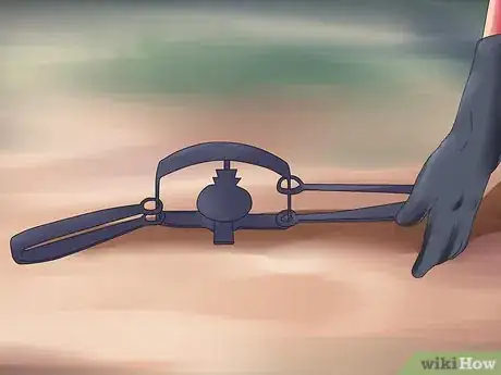Image titled Catch Beavers Step 10