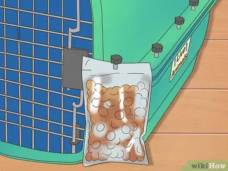 Image titled Fly with Pets Step 12