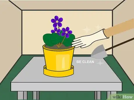 Image titled Grow African Violets Indoors Step 09