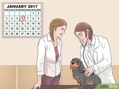 Image titled Promote Safe Whelping for Short Legged Dog Breeds Step 10