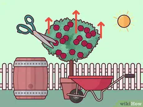 Image titled Prune Tree Roses Step 11