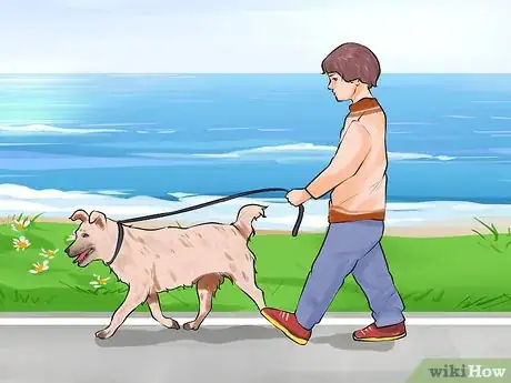 Image titled Involve Your Kids in Selecting a Dog Step 10