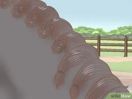 Image titled Groom a Horse for a Show Step 25