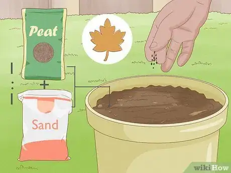 Image titled Raise Carnivorous Plants Step 6