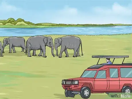 Image titled See Elephants in Sri Lanka Step 8