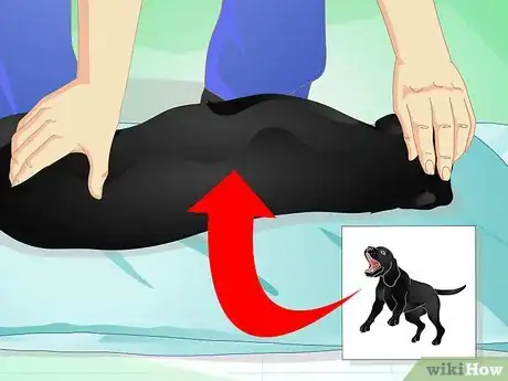 Image titled Give Your Dog a Massage Step 11