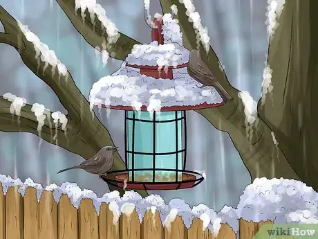 Image titled Use a Backyard Bird Feeder Step 12