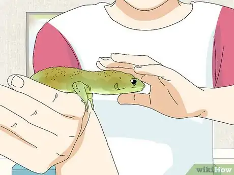 Image titled Give a Lizard a Bath Step 9