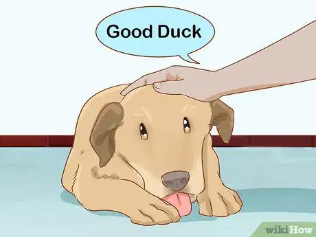 Image titled Teach Your Dog to Duck Step 6