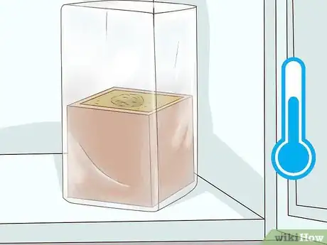 Image titled Grow Enoki Mushrooms Step 4