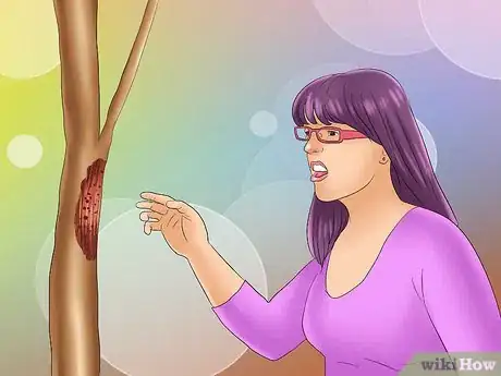 Image titled Grow Chestnut Trees Step 18