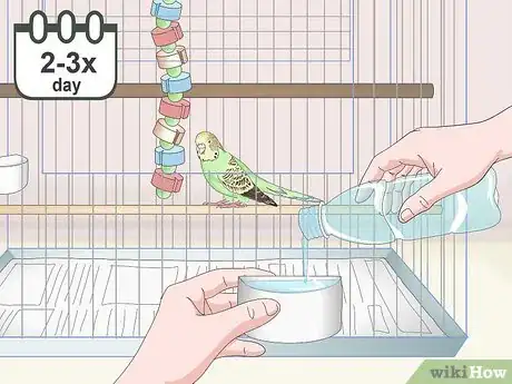 Image titled Own a Parakeet Step 9