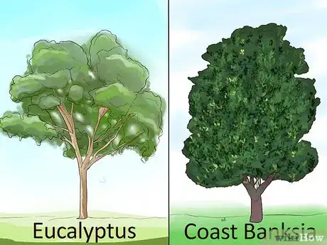 Image titled Design a Beach‐Themed Garden Step 8