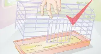 Clean a Small Pet Cage