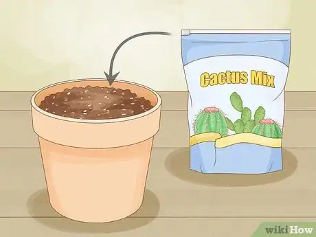 Image titled Grow Mandarin Trees Step 13