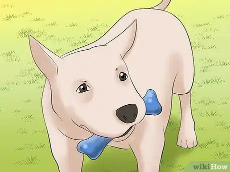 Image titled Walk a Dog in the Woods Step 14