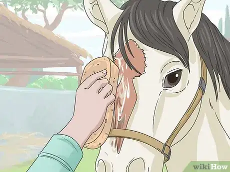 Image titled Clean a Horse Step 12