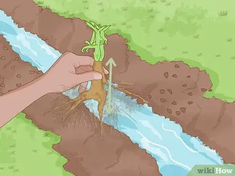 Image titled Plant a Shrub Step 10