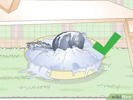 Image titled Prevent Chinchillas from Developing Hairballs Step 3