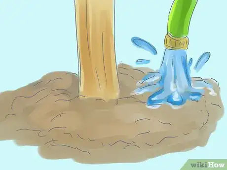 Image titled Plant Bradford Pear Trees Step 20