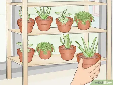 Image titled Make a Mini Garden in Your Room Step 11