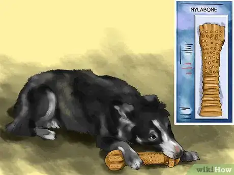 Image titled Keep Your Dog Away from Halloween Candy Step 9