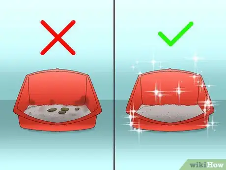 Image titled Decide if a Ferret Is the Right Pet for You Step 4