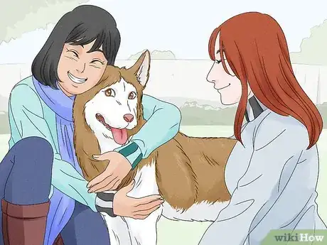 Image titled Identify a Siberian Husky Step 14