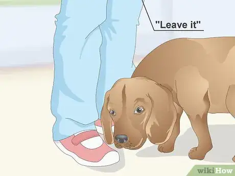 Image titled Teach a Dog to Leave It Step 12