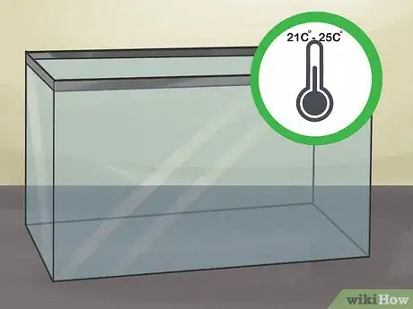 Image titled Care for a Seahorse Step 2