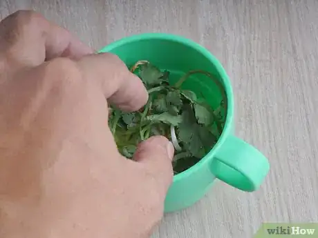 Image titled Juice Broccoli Sprouts Step 14