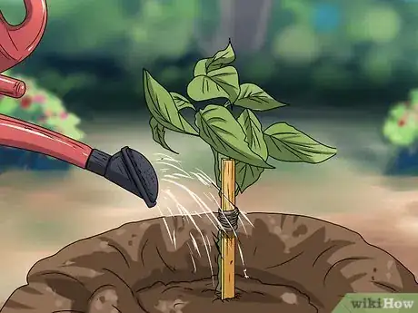 Image titled Plant Step 31