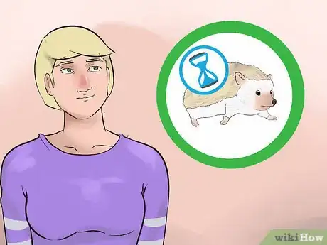 Image titled Buy a Hedgehog Step 5