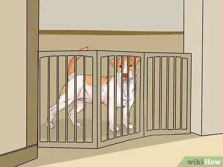 Image titled Identify and Correct Unwanted Dog Behaviors Step 10