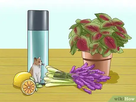 Image titled Repel Cats Step 2