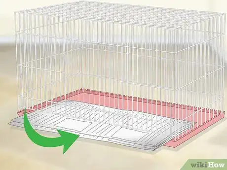 Image titled House a Canary Step 9