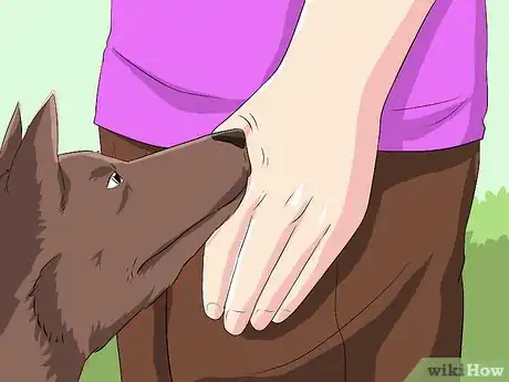 Image titled Protect Yourself from Dogs While Walking Step 17