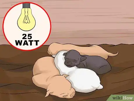 Image titled Handle a Mother Dog Refusing to Stay with Her Puppies Step 11