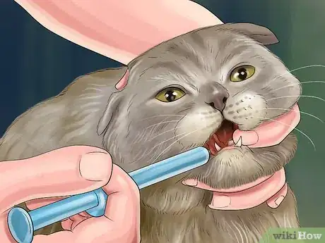 Image titled Give Serotonin (5 Ht) Agonists to a Cat Step 9