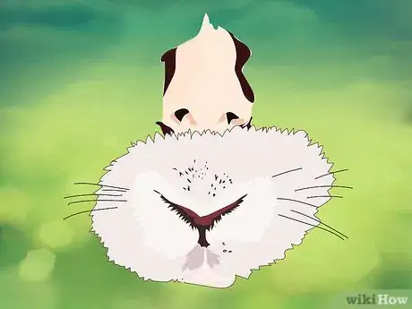Image titled Address Biting and Aggressive Behavior in a Rabbit Step 4