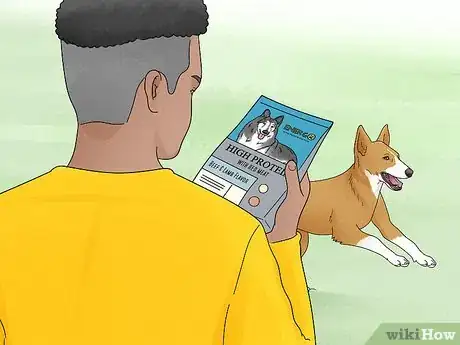 Image titled Choose a High Energy Dog Breed Step 8